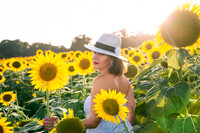 Sveta/Sunflowers/Retouched